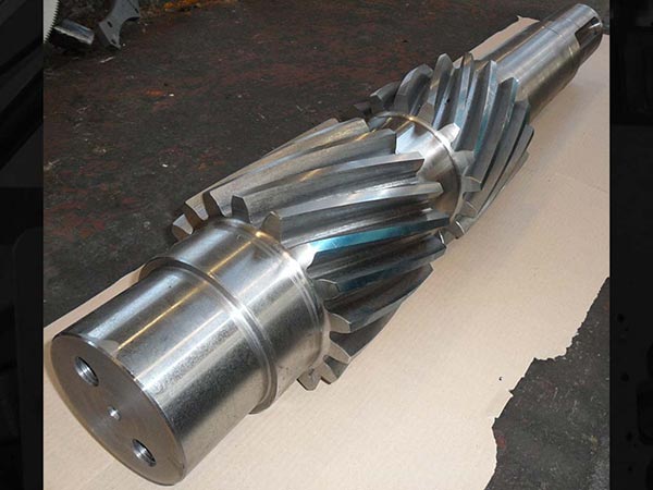 alberi bi-elicoidali